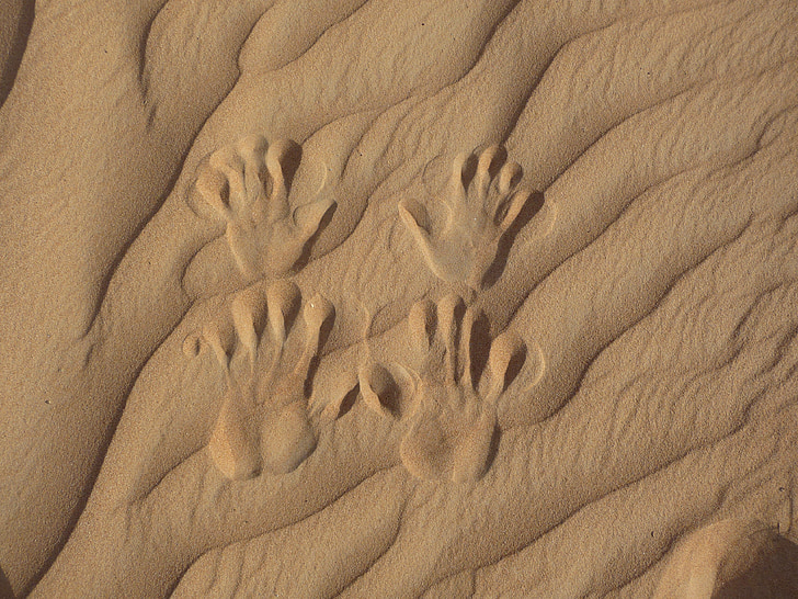 désert, titres dans le sable, empreintes de mains dans le sable, trace