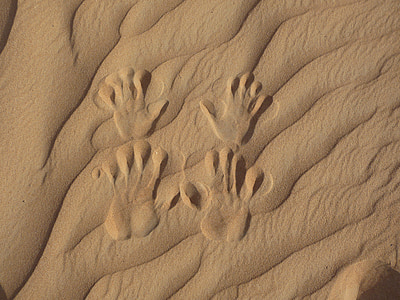 Desert, stopy v piesku, ruku tlačí do piesku, sledovania