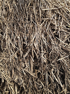 straw, grain, grass, hay, bale, haystack, nature