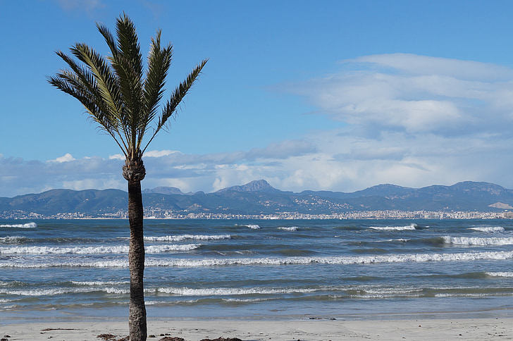 Mallorca, musim dingin, Playa de palma
