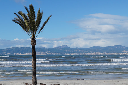 Mallorca, mùa đông, Playa de palma