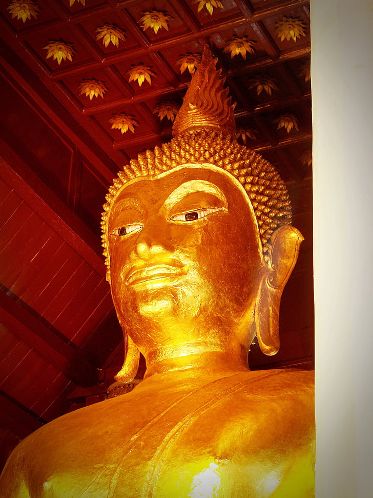 buddha, buddah, thailand, tibet, gold, golden, closeup