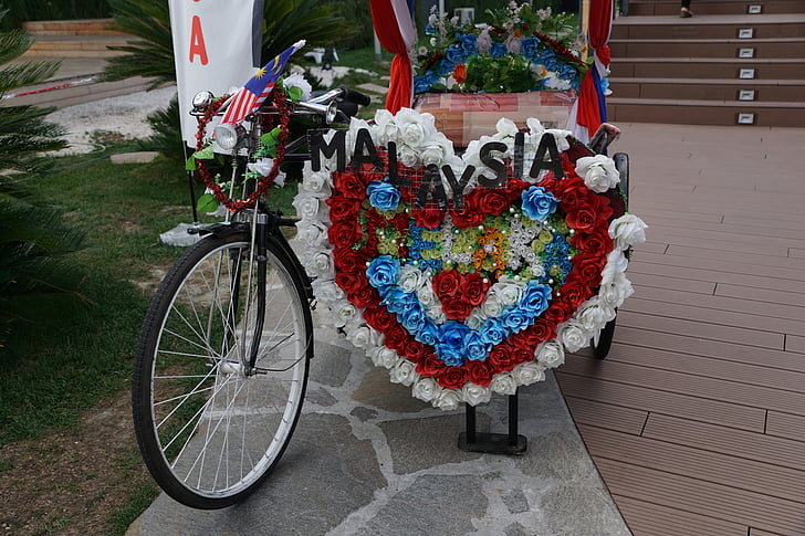 bicicleta, flors, artísticament, Malàisia