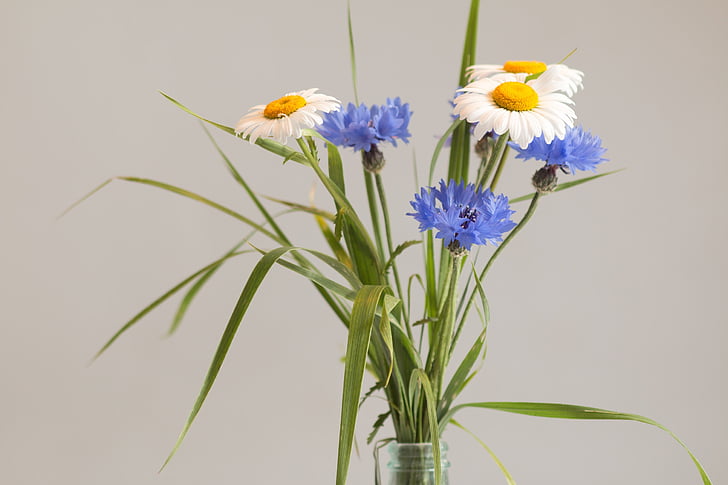 buchet de flori salbatice, vaza de flori, natura statica, buchet de ziua de nastere, flori, vaza, iarba