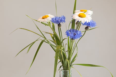 野生の花の花束, 花瓶の花, スティル ・ ライフ, 誕生日の花束, 花, 花瓶, 草