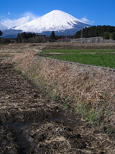 Гора Фудзі, поле, взимку, сніг, Синє небо, Хмара, білий