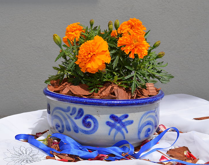 terracotta, ceramica, grigio, blu, ceramiche, modello, fiore