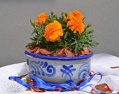 gerabah, keramik, abu-abu, biru, tembikar, pola, bunga