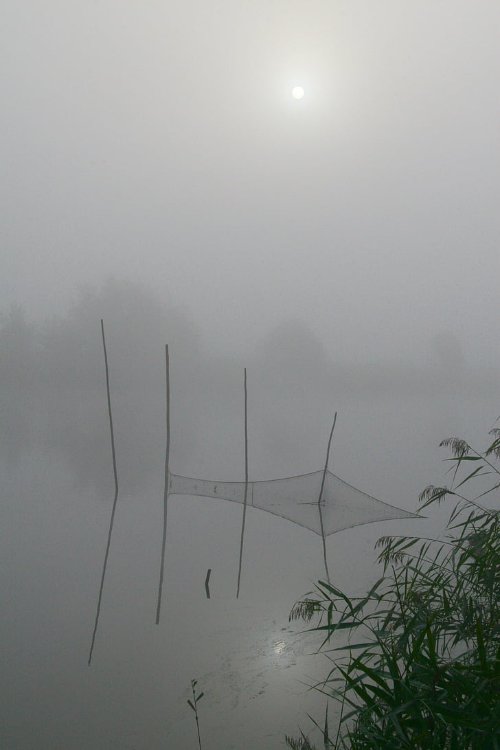 tåge, vand, fiskenet