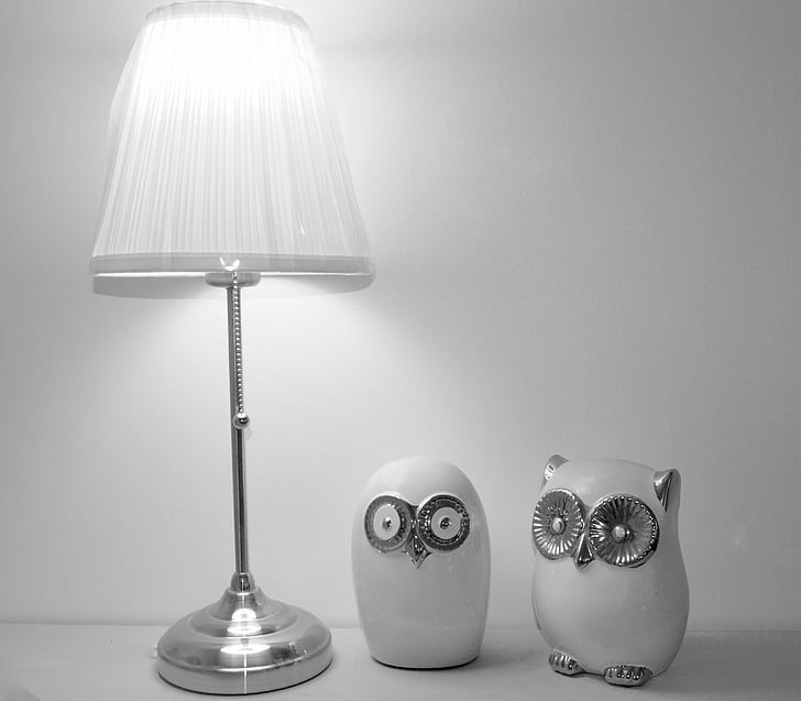 owl, owls, animals, forest, curiosity, object, collection