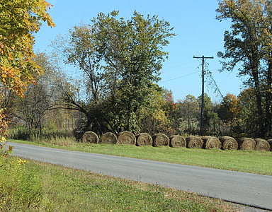 hay, bale, hay bales, straw, field, agriculture, harvest