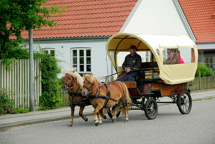 Danska, voziček, poniji, sani