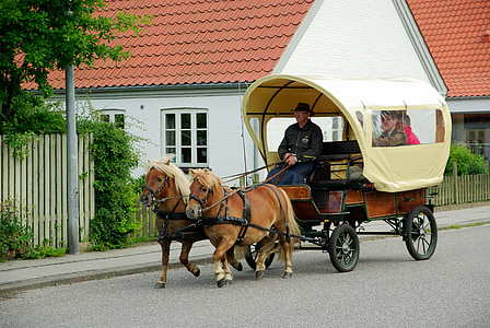 Dinamarca, carro, ponis, trineo
