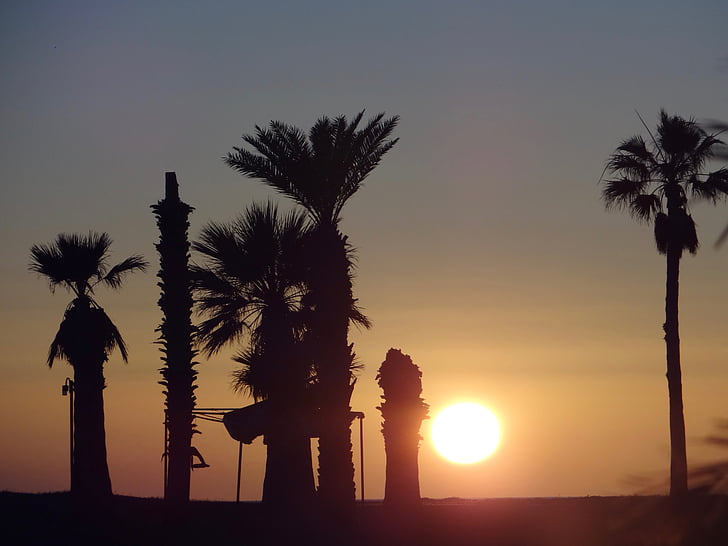 zonsondergang, strand, zee, palmen, Mexico, San carlos