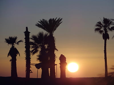 posta de sol, platja, Mar, palmes, Mèxic, Sant Carles