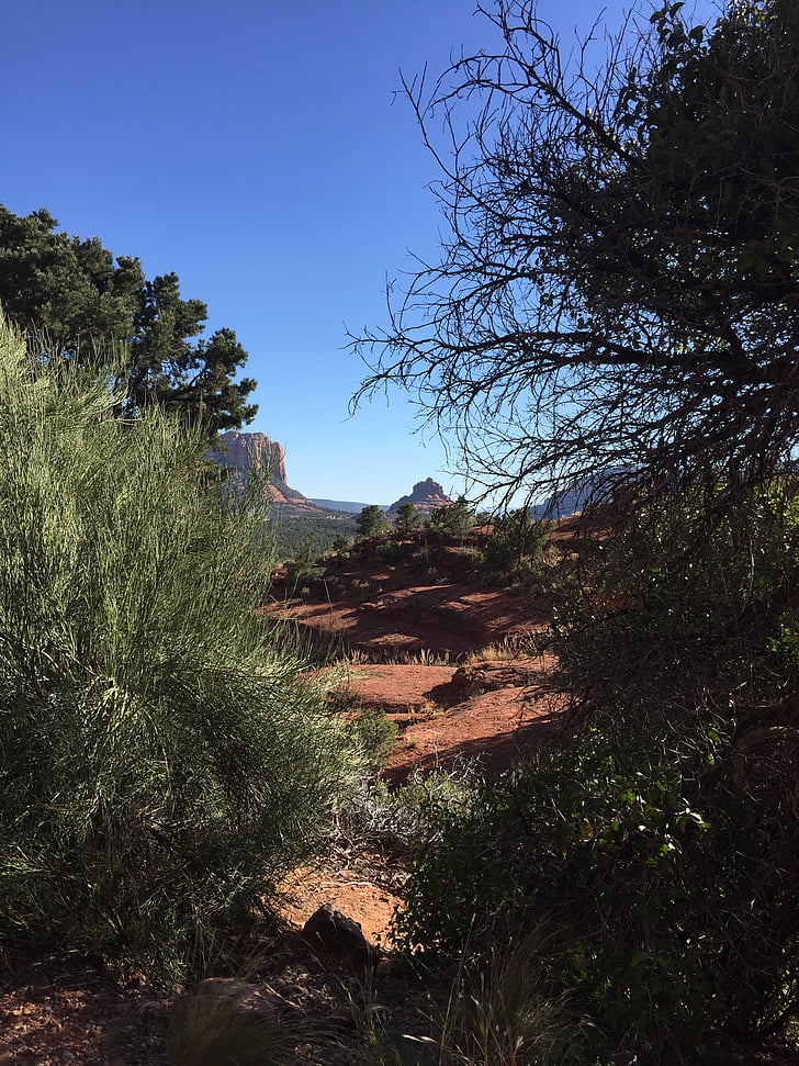 Sedona, Arizona, EUA, paisatge, sud-oest, vermell, Roca