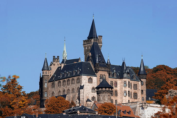 вежа, Замок, Лицарський замок, вежі, цегельні, Історично, середньовіччя