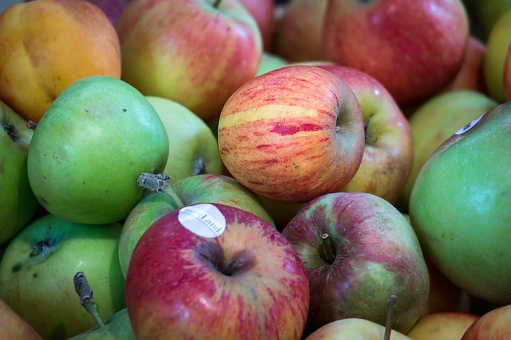 jabuka, voće, dan zahvalnosti, žetva, voće, jesen, Frisch
