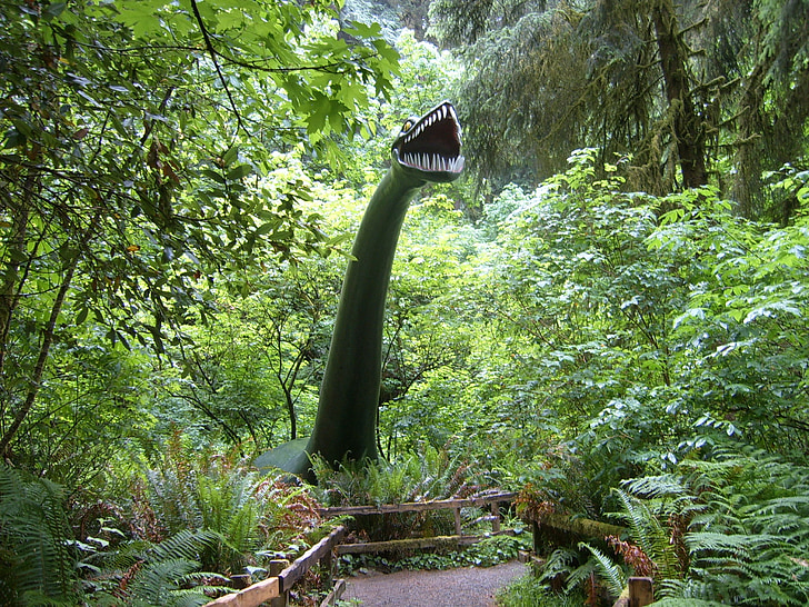 förhistoriska trädgårdar, dinosaurie, Port orford, Oregon, regnskog