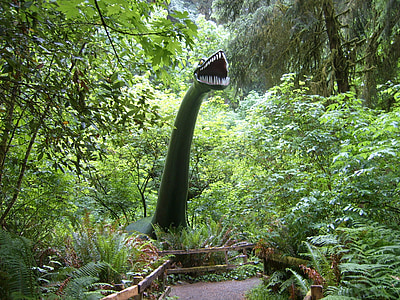 eelajaloolised aiad, dinosaurus, Port orford, Oregon, vihmametsade