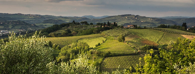 Toscane, Italië, landschap, vakantie, avondzon, landbouw, veld