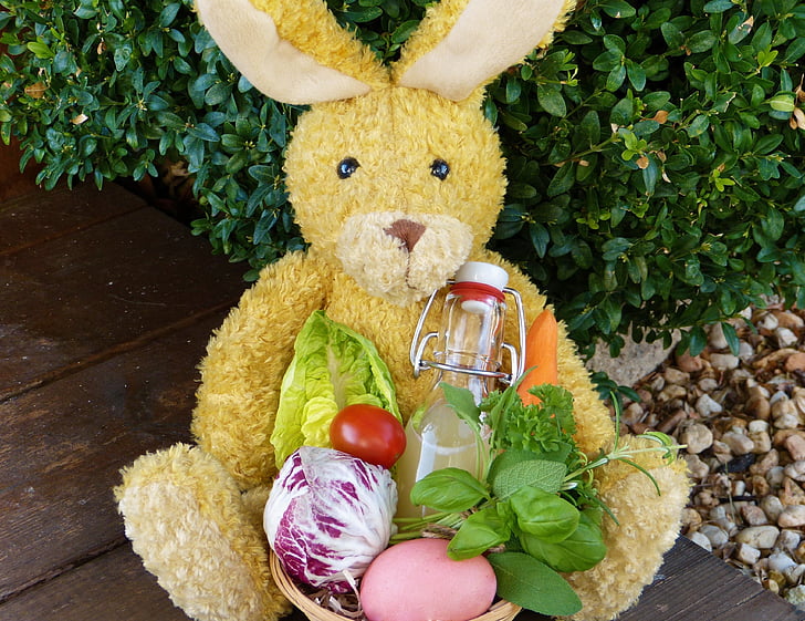 Easter bunny, lihavõtted pesa, Aed, välja, Lihavõttemuna, Bio, terve
