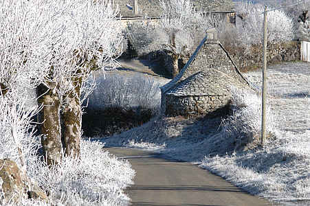 Landschaft, Winter, Raureif, Frost, Natur, Baum, weiß