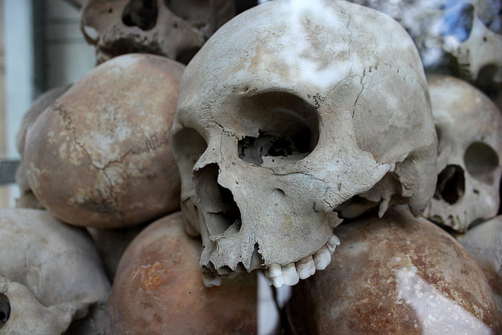 crânios, genocídio, assassinato, morte, humana, Camboja, Holocausto