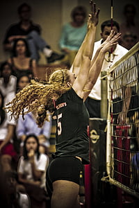 volleyball, girl, blocking, female, athletic, play, action