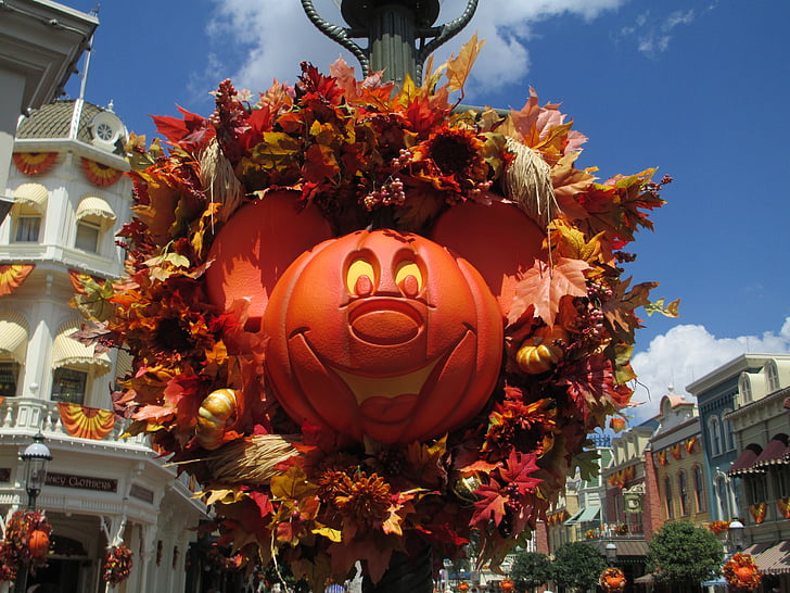 autumn, fall, wreath, orange, season, thanksgiving, decoration