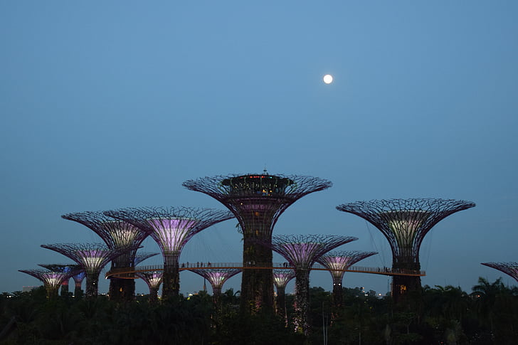 jardín de la bahía, Singapur, icono, punto de referencia