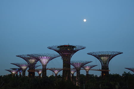 giardino della baia, Singapore, icona, punto di riferimento