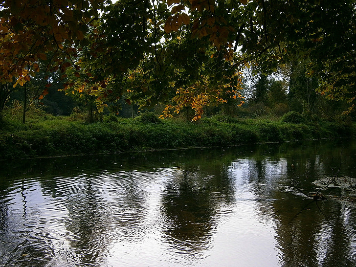 riu, Banc, aigües, l'aigua, reflexió, reflectint, salvatge
