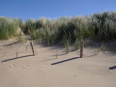 Playa, dunas, verano, arena, mar, Mar del norte, duna de arena