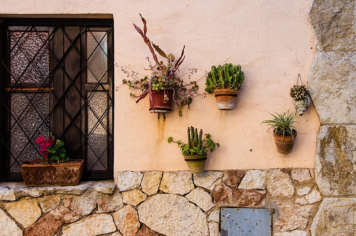 jendela, Kaktus, tanaman, rumah, panci, tanaman, dekorasi