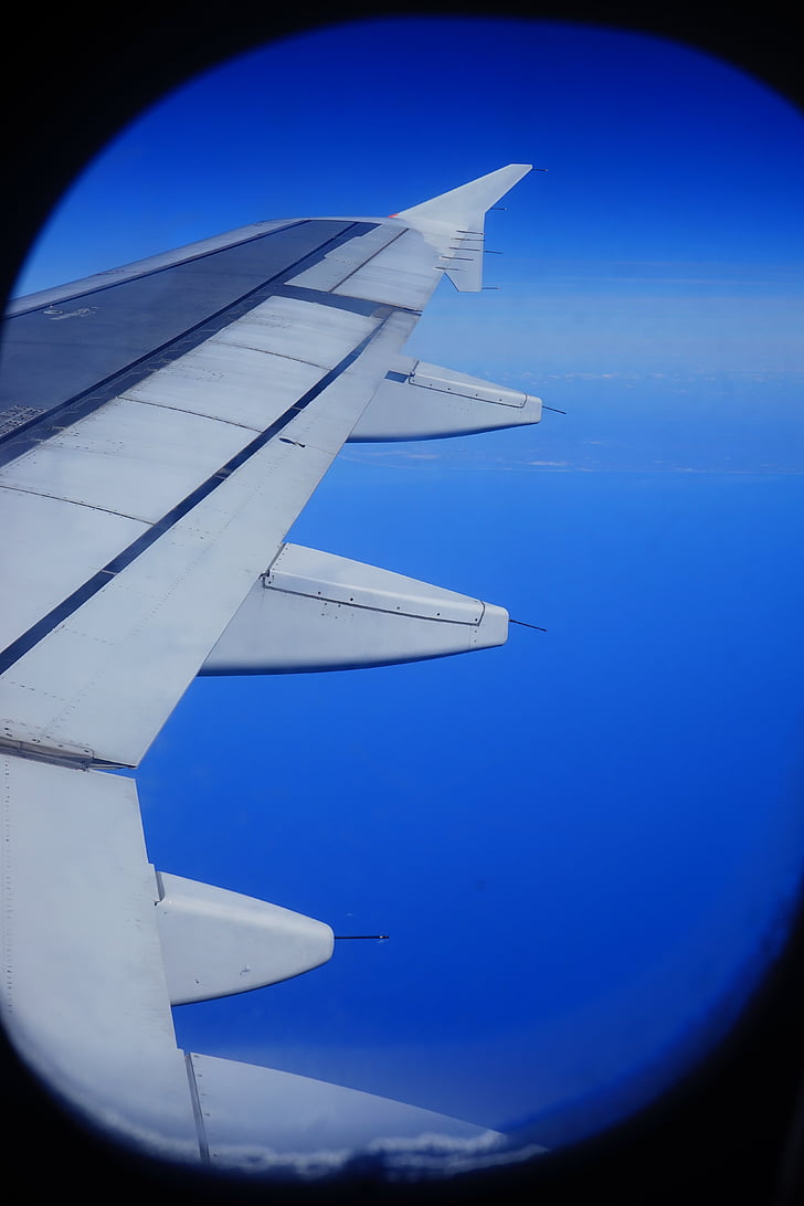 lietať, lietadlá, krídlo, more, modrá, Ocean, lietadlo