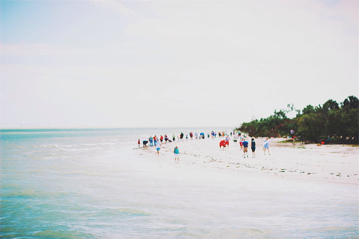 orang-orang, berjalan, Pantai, dekat, tenang, laut, Siang hari