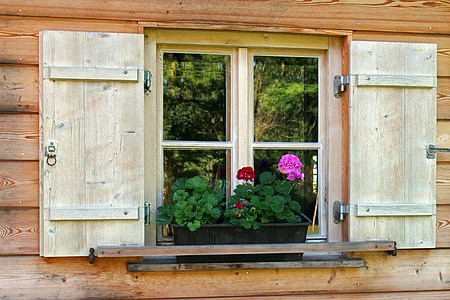 house jewelry, flower box, window flower, window, wooden windows, flowers, geranium