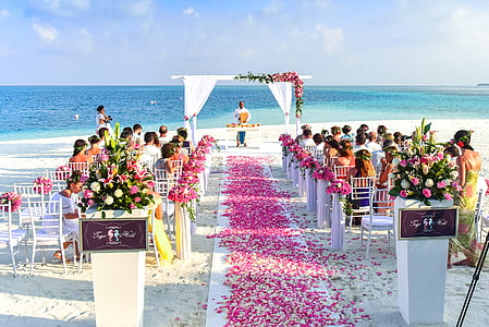 corredor, praia, celebração, cerimônia de, cadeiras, decorações, gozo