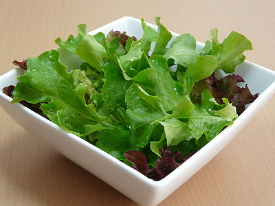 沙拉, 健康, 吃, 绿色, 叶, 白色, 碗里