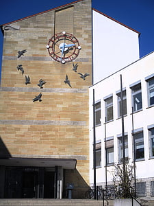 building, town hall, friedrichshafen, clock, facade, gulls, places of interest