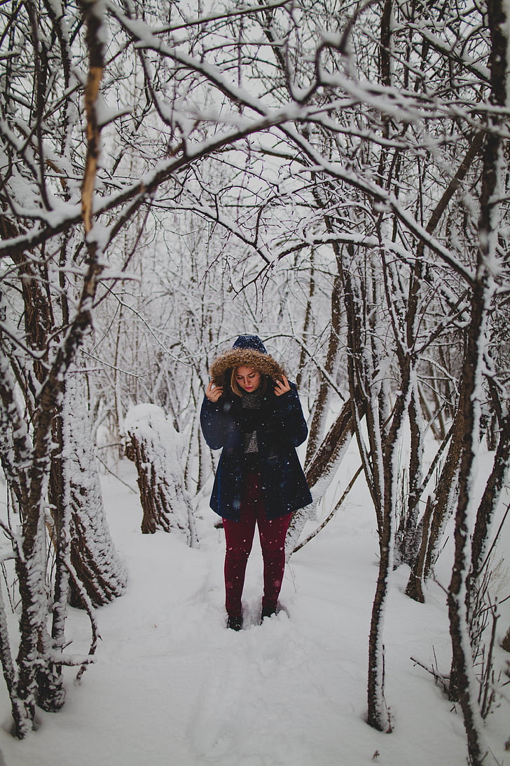 žena, s kapucňou, kabát, holé, stromy, zimné, sneh