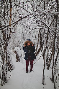 nő, kapucnis, kabát, csupasz, fák, téli, hó