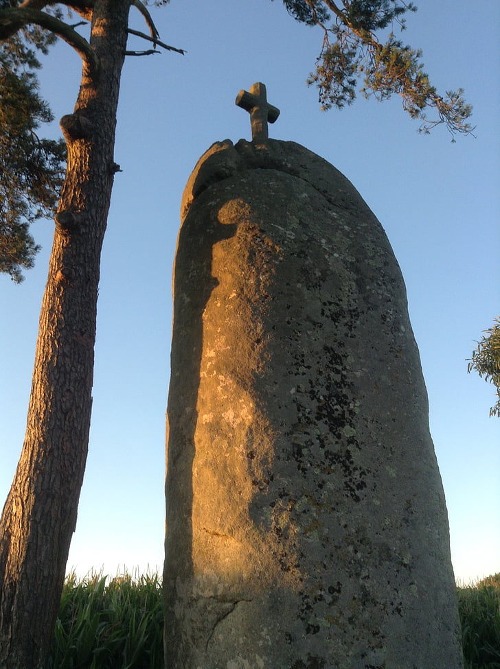 Menhir, Brittany, celtico, albero