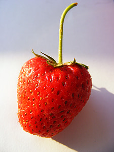 loodus, maasikas, puuviljad, terve, värske, looduslik, marja