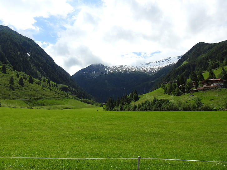Austria, pegunungan, padang rumput, hutan, alam, pemandangan, Salzburg