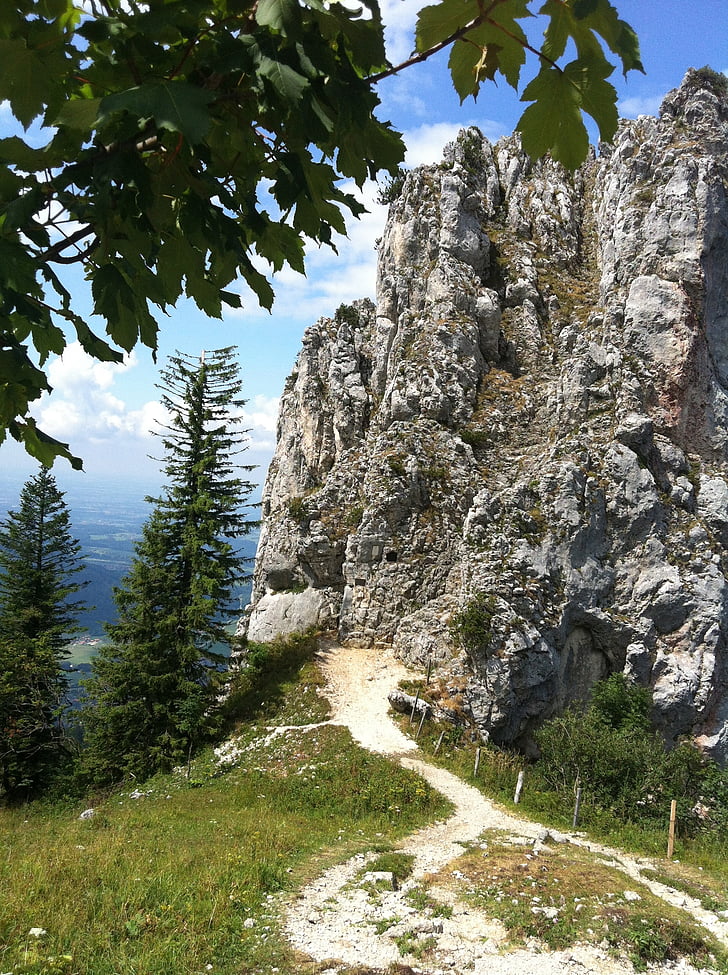 montagne, alpino, natura, Svizzera, Salisburgo, Austria, estate