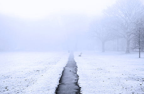 england, seasons, mist, park, sidewalk, grass, frost