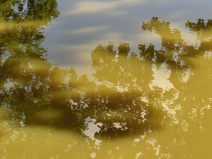 water, spiegelen, wolken, reflecties, wateroppervlak, rivier, bomen
