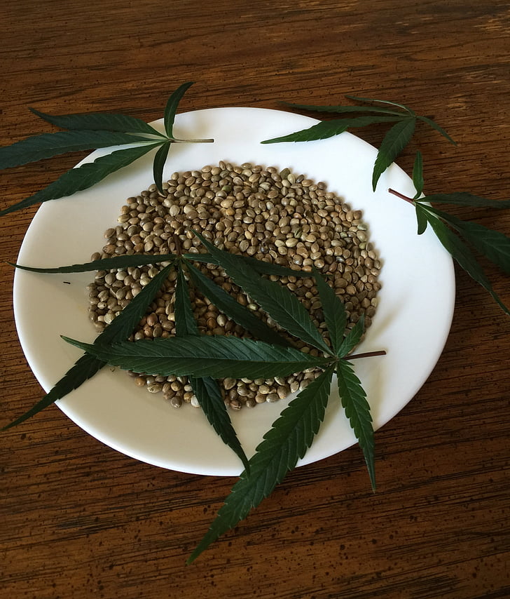 graines de cannabis, graines de chanvre, alimentaire, ingrédient, chanvre, cannabis, en bonne santé